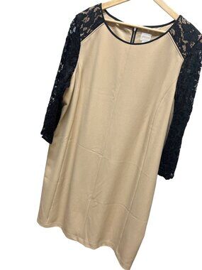 Chico's Neutral Sheath Dress with Black Lace Sleeves